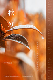 秋分 节气