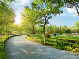公园小路风景