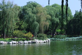 公园风景