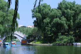 公园风景 