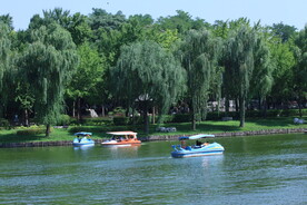 公园风景 