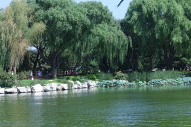 公园风景 