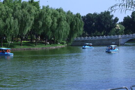公园风景