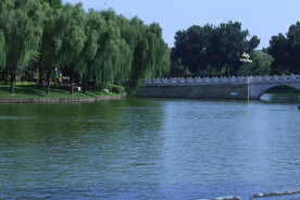 公园风景 