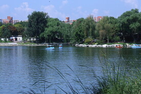 公园风景 