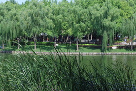 公园风景 