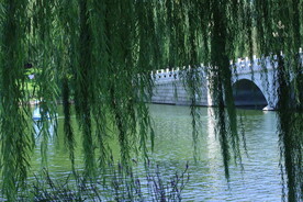 公园风景 