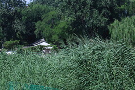 公园风景 