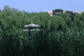 公园风景