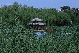 公园风景 