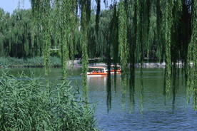公园风景