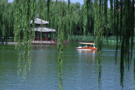 公园风景 