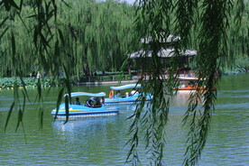 公园风景