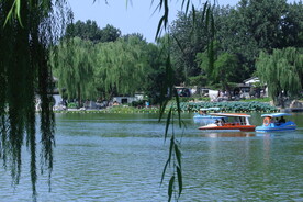 公园风景