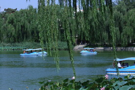 公园风景