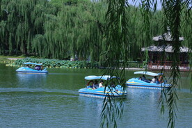 公园风景