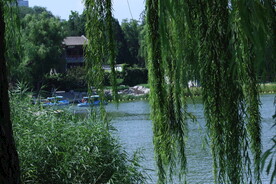 公园风景