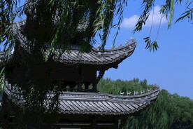 公园风景