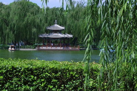 公园风景 