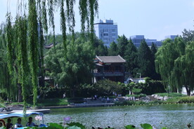 公园风景 