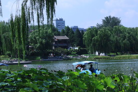 公园风景 