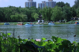 公园风景 
