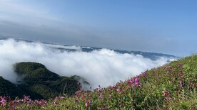 早晨的云海