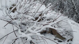 白雪