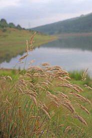 湖边