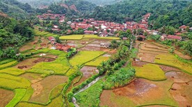 田园风光