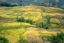 梯田风景