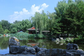 公园风景 