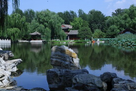 公园风景 