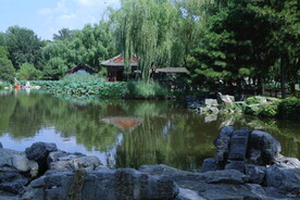 公园风景