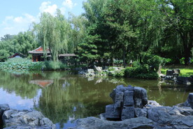 公园风景 