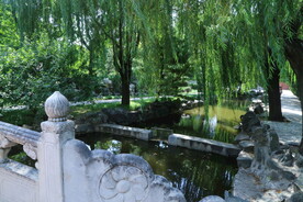 公园风景