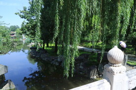 公园风景 