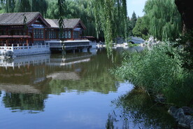 公园风景  