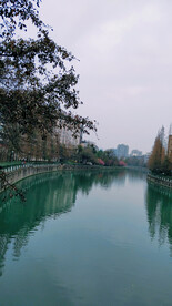 河景和樱花