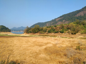 草泽地和湖