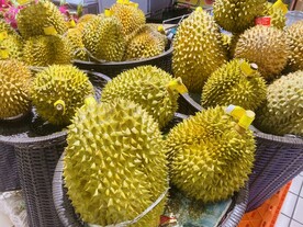 榴莲摄影图片