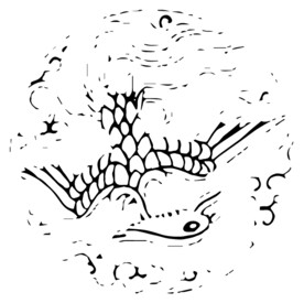 鸟纹