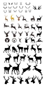 鹿的合集