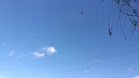 蓝天和电线