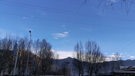 山脉和树木  