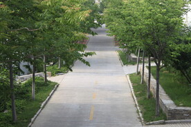 公园风景