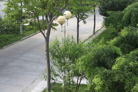 公园风景
