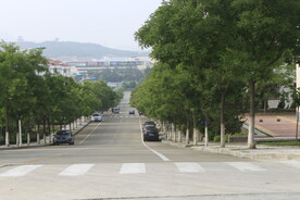 公园风景