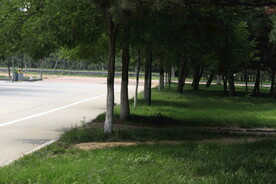 公园风景