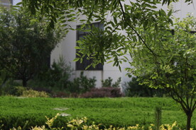公园风景